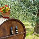 By Casamerina, Large With Pool, Garden Near Trasimeno *