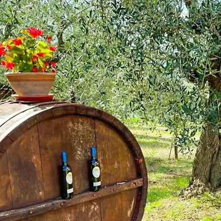 By Casamerina, Large With Pool, Garden Near Trasimeno *